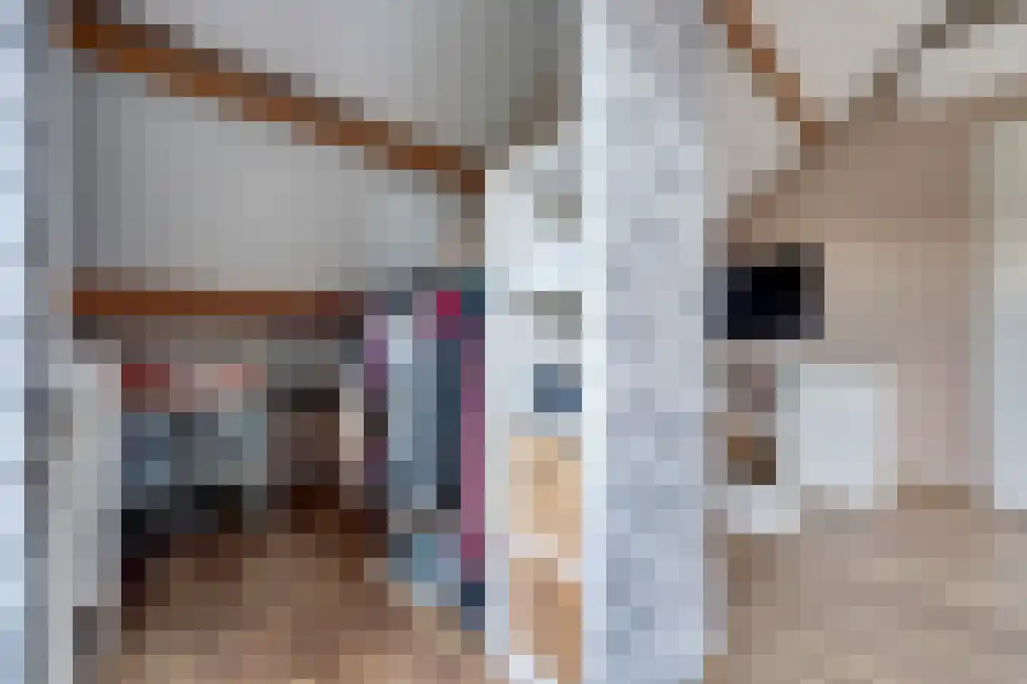 Schrijversdijk 4 a Brielle thumbnail 22