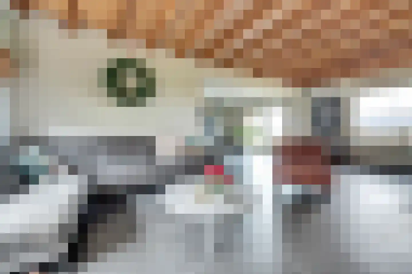 Schrijversdijk 4 a Brielle thumbnail 5
