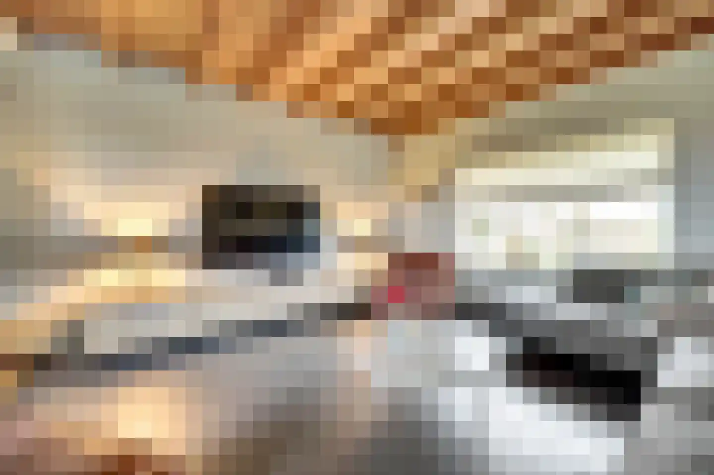 Schrijversdijk 4 a Brielle thumbnail 6