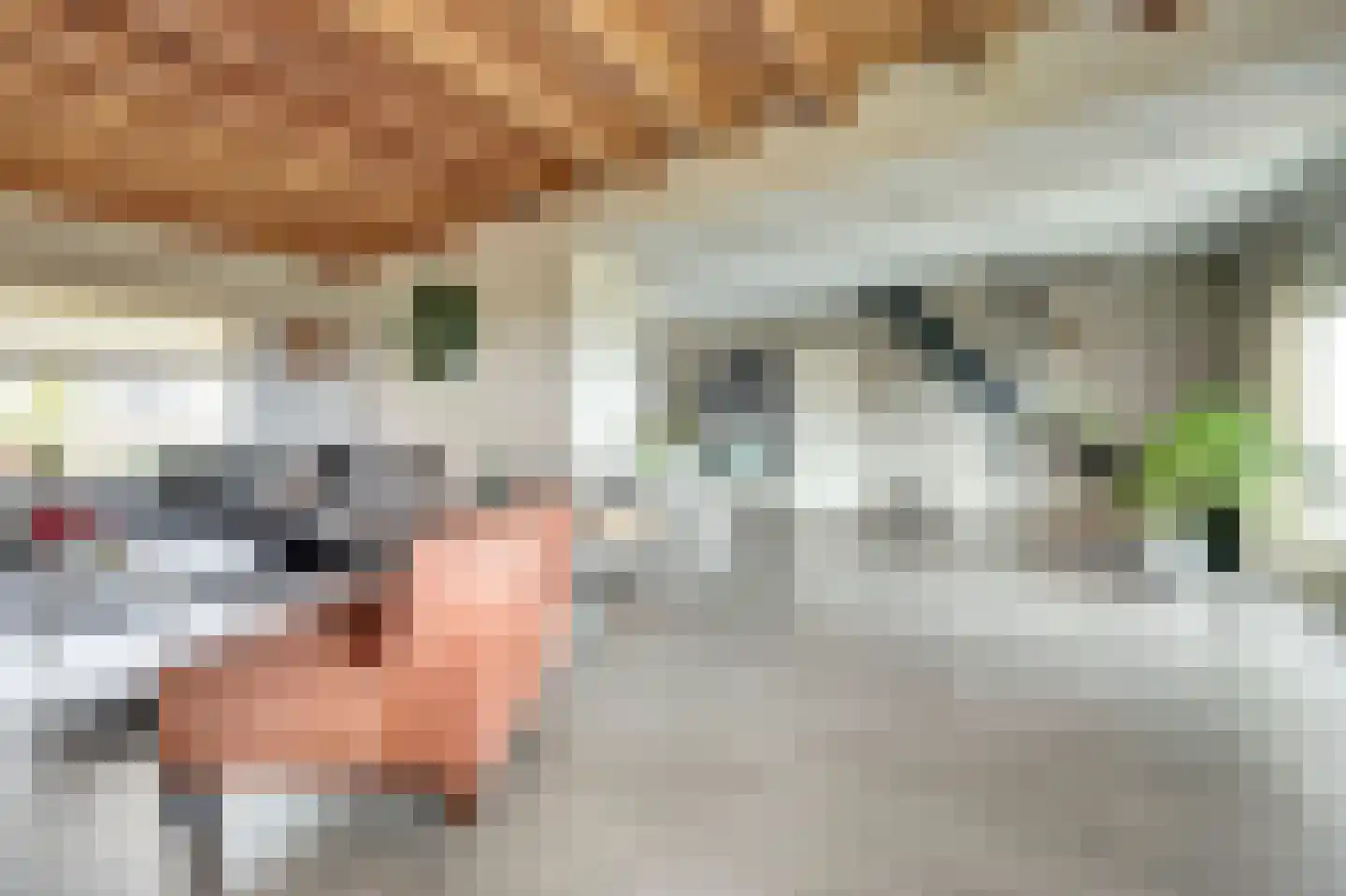 Schrijversdijk 4 a Brielle thumbnail 7