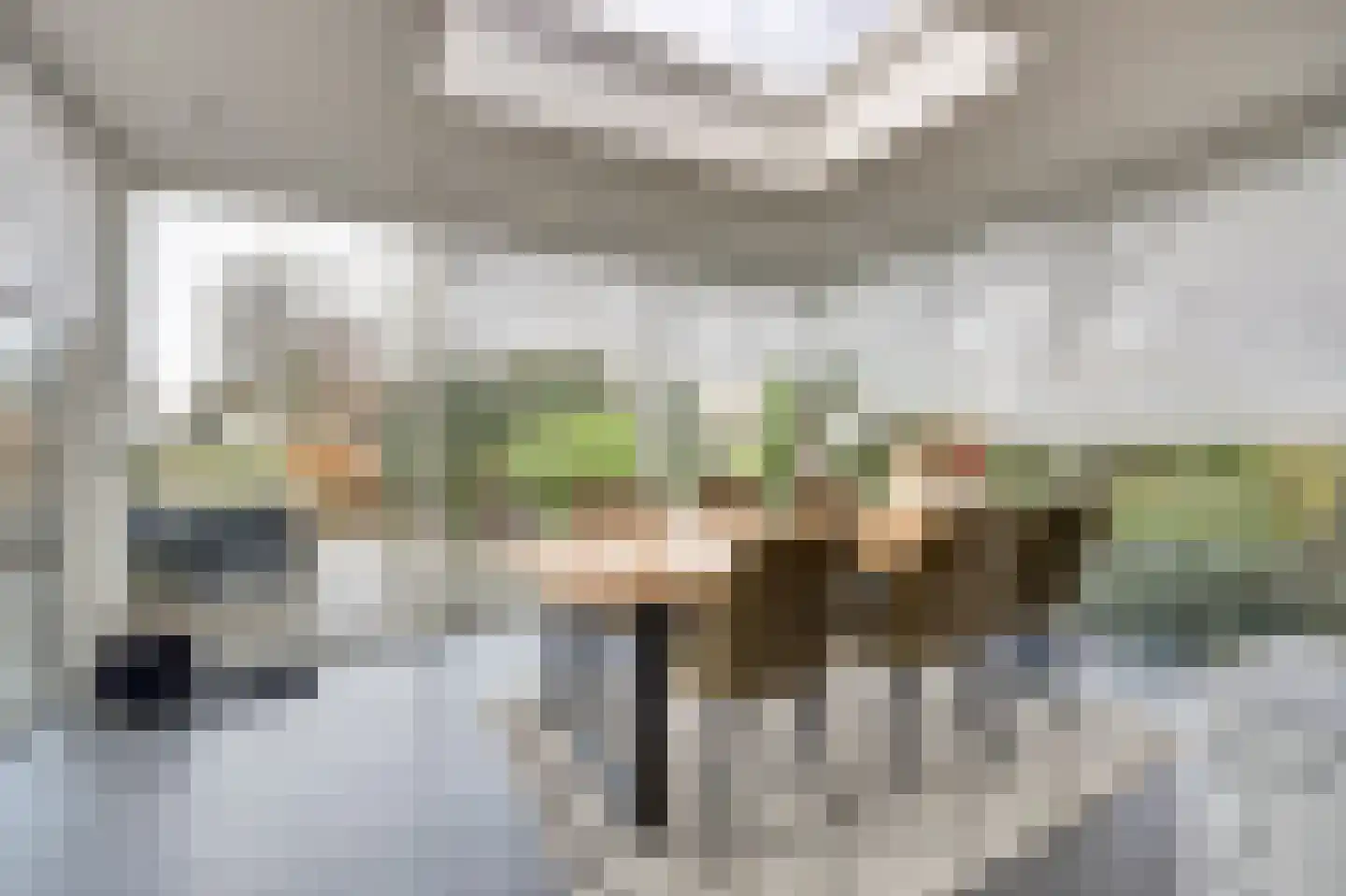 Schrijversdijk 4 a Brielle thumbnail 9