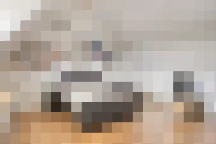 Schrijvershoeve 2 Helmond thumbnail 29
