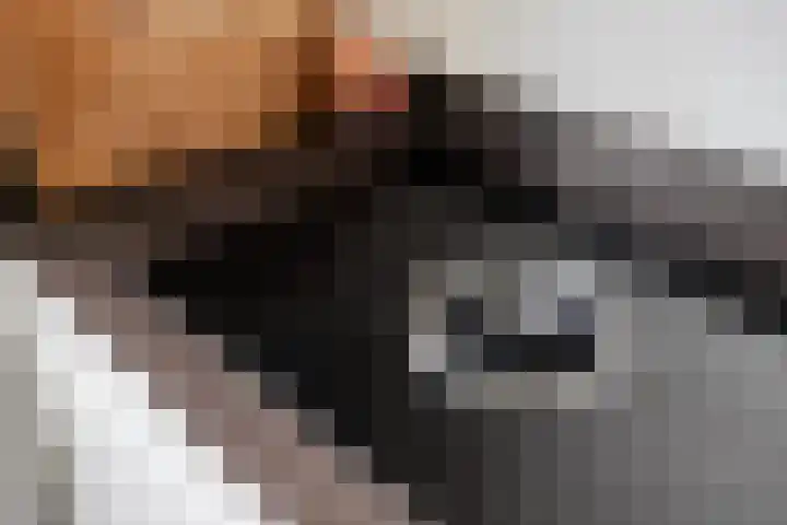 Schrijvershoeve 26 Helmond thumbnail 18