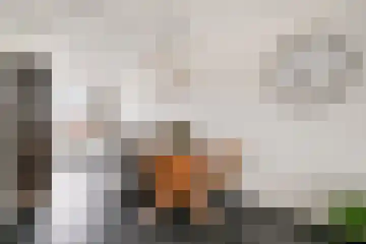 Schrijvershoeve 26 Helmond thumbnail 21