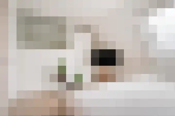 Schrijvershoeve 26 Helmond thumbnail 32