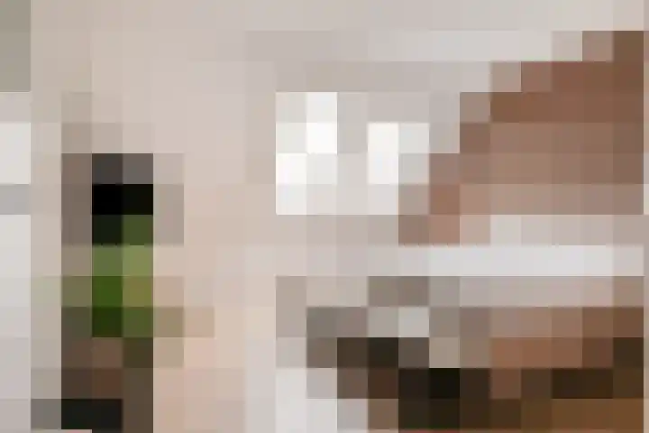 Schrijvershoeve 26 Helmond thumbnail 5