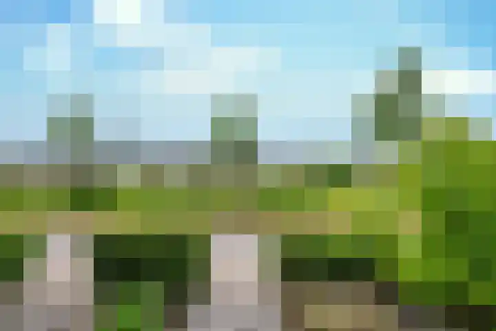 Schrijvershoeve 30 Helmond thumbnail 10