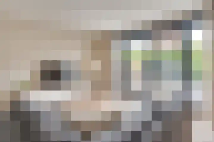 Schrijvershoeve 30 Helmond thumbnail 15