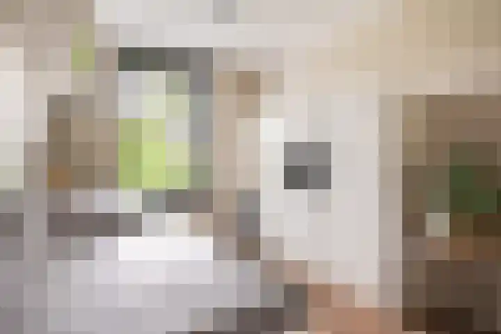 Schrijvershoeve 30 Helmond thumbnail 20