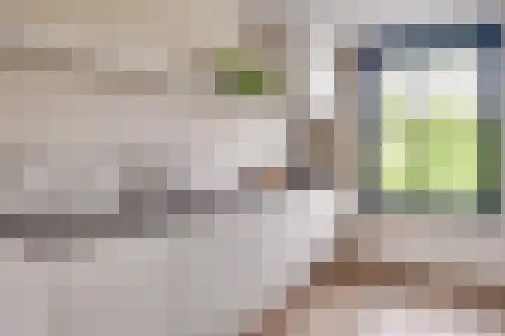 Schrijvershoeve 30 Helmond thumbnail 21