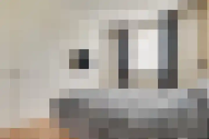 Schrijvershoeve 30 Helmond thumbnail 28