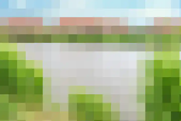 Schrijvershoeve 30 Helmond thumbnail 47