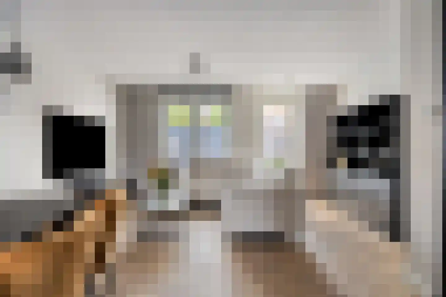 Schrijvershoeve 70 Helmond thumbnail 12