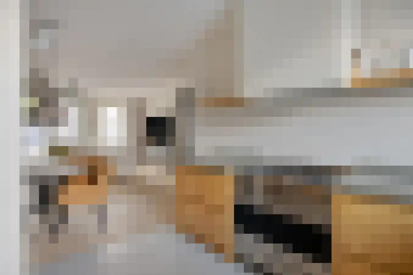 Schrijvershoeve 70 Helmond thumbnail 15
