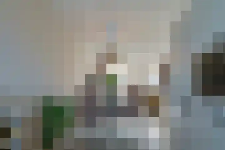 Schrijvershoeve 72 Helmond thumbnail 13
