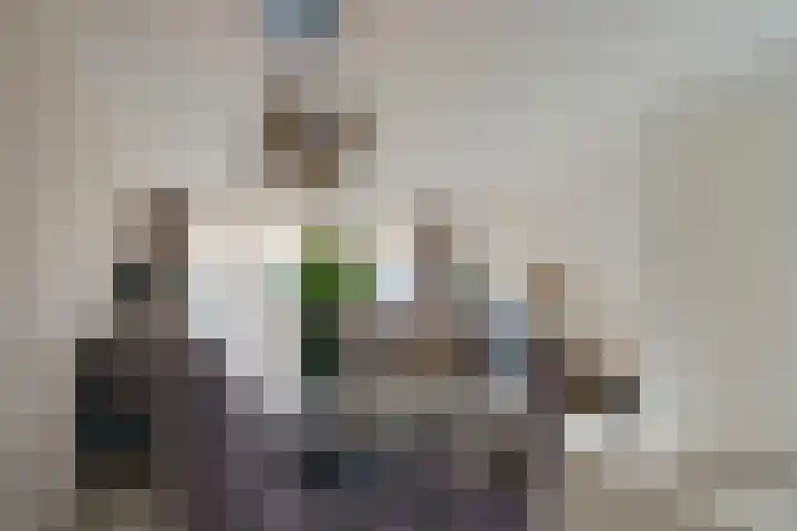 Schrijvershoeve 72 Helmond thumbnail 14