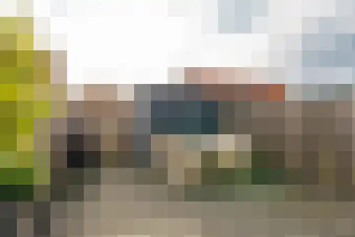 Schrijvershoeve 72 Helmond thumbnail 33