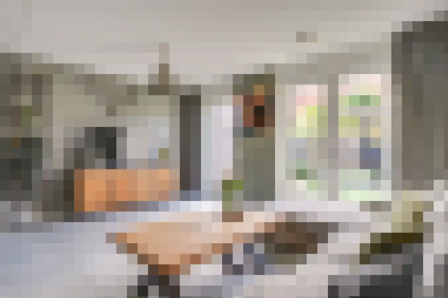 Schrijvershoeve 76 Helmond thumbnail 21