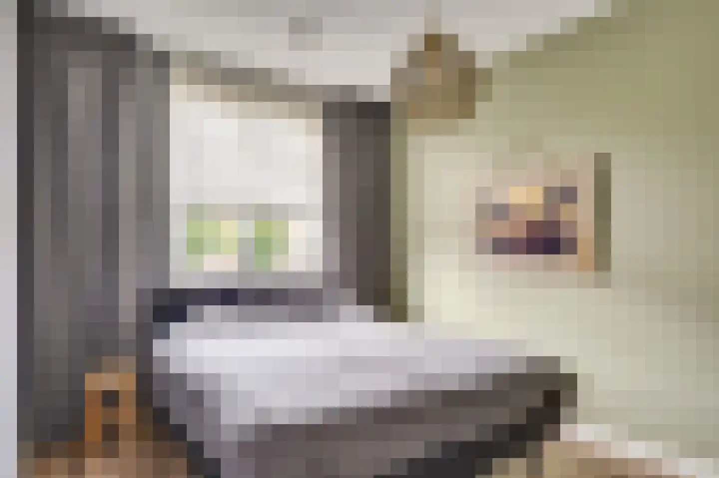Schrijvershoeve 76 Helmond thumbnail 5