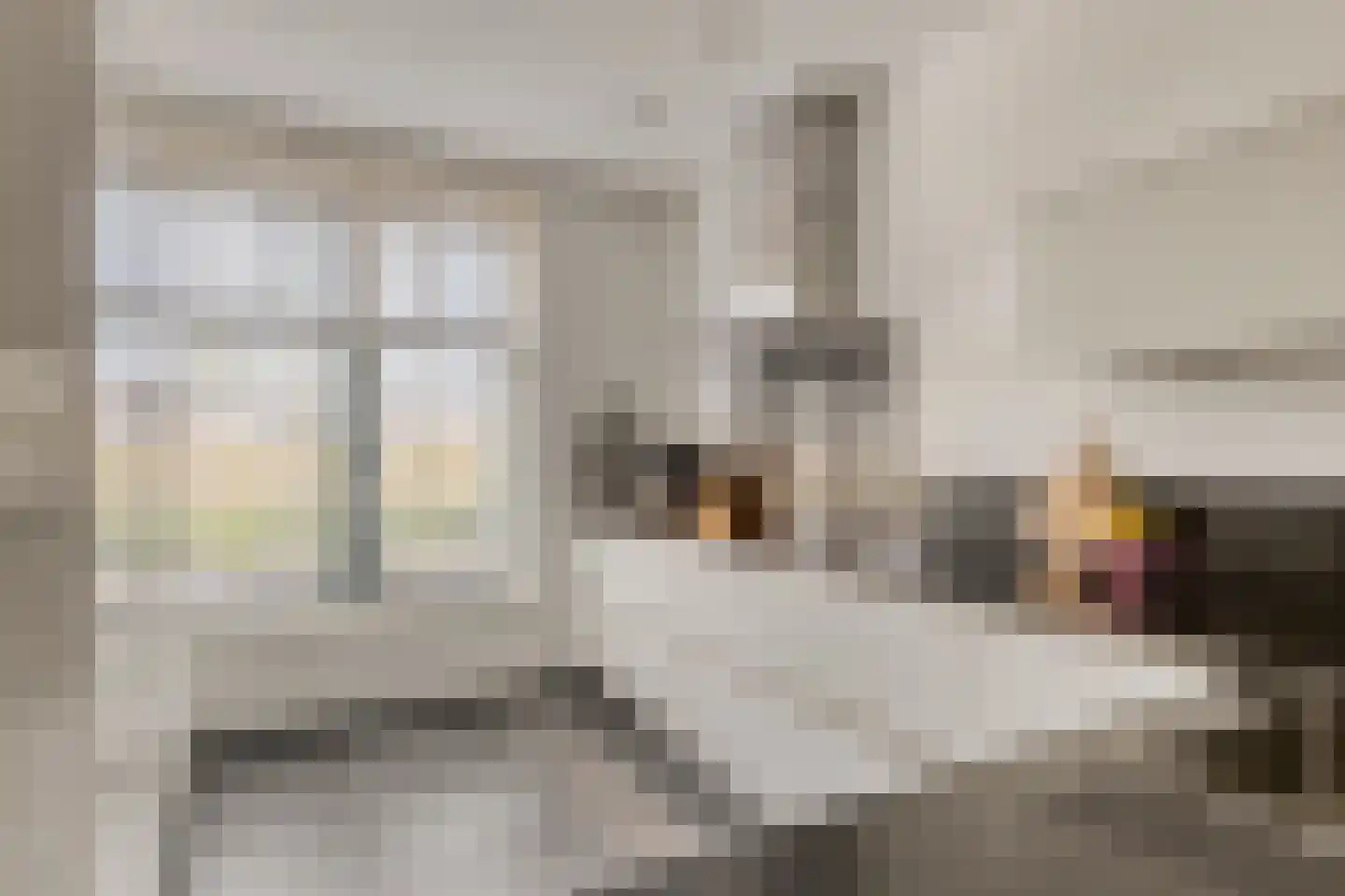 Schrijvershoeve 8 Helmond thumbnail 11