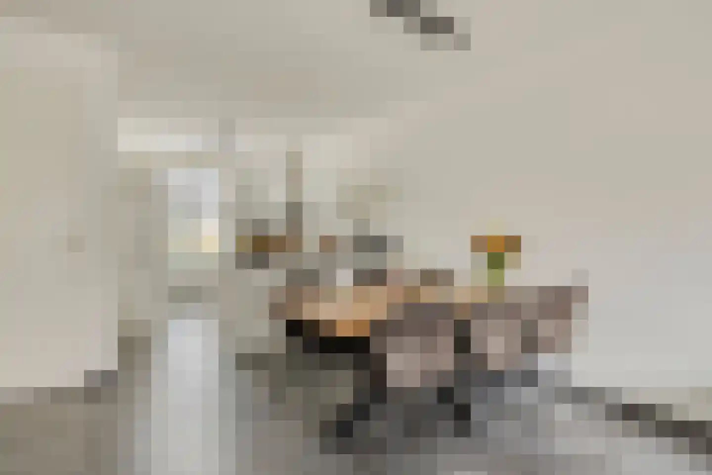 Schrijvershoeve 8 Helmond thumbnail 9