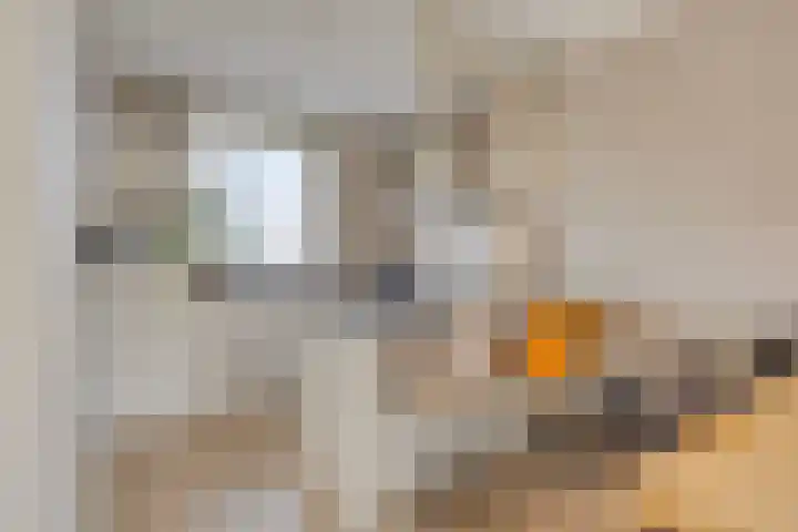 Schrijvershoeve 82 Helmond thumbnail 12