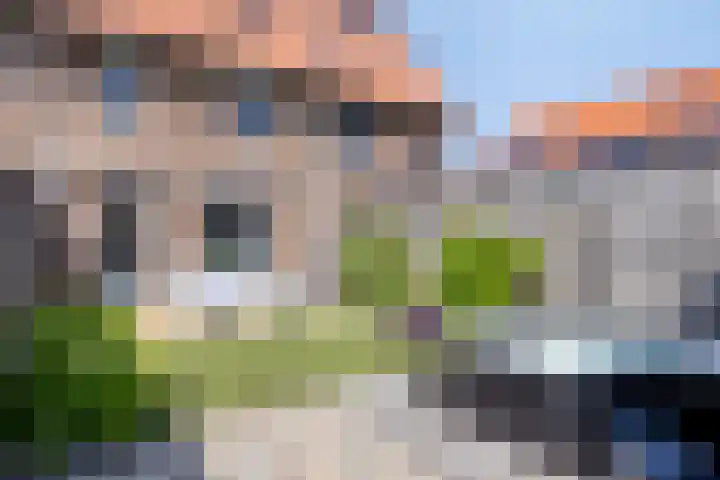 Schrijvershoeve 82 Helmond thumbnail 29