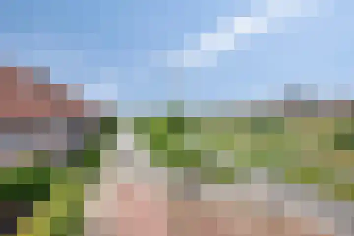 Schrijvershoeve 82 Helmond thumbnail 34