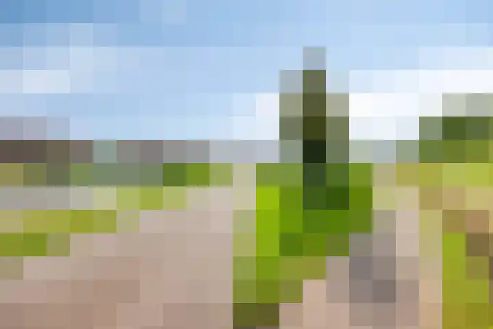 Schrijvershoeve 82 Helmond thumbnail 45