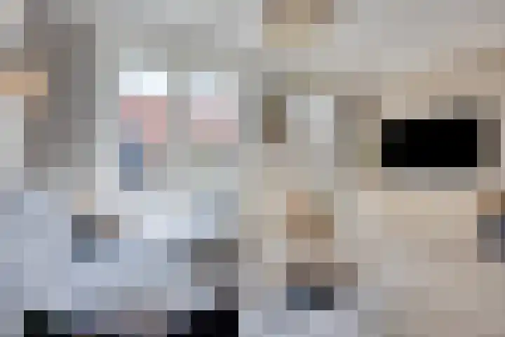 Schrijvershoeve 82 Helmond thumbnail 9