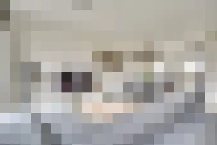 Schrijvershoeve 84 Helmond thumbnail 18