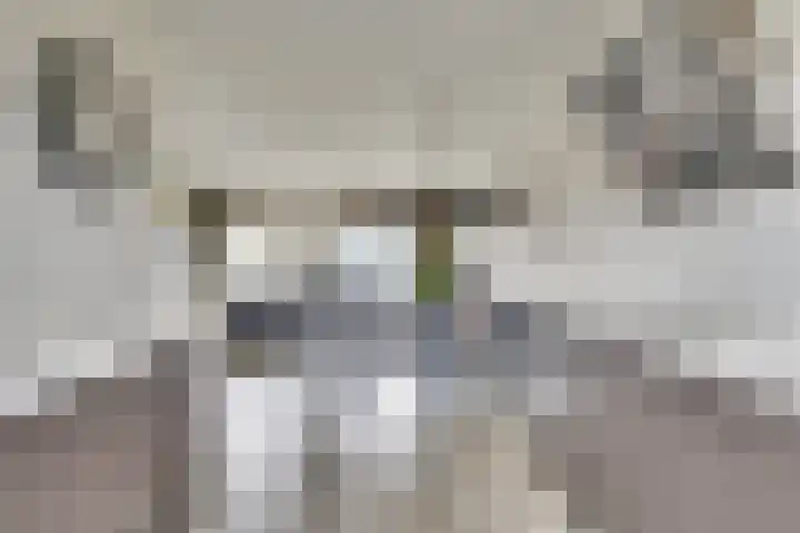 Schrijvershoeve 84 Helmond thumbnail 22