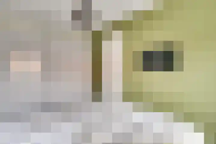 Schrijvershoeve 84 Helmond thumbnail 28