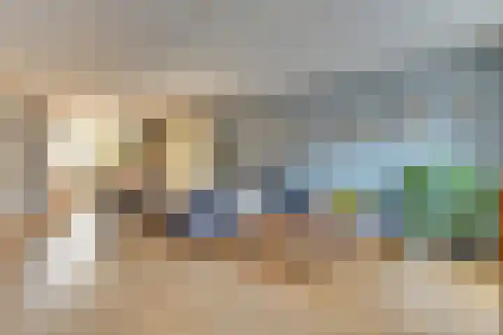 Schrijverskwartier 13 Heemskerk thumbnail 12