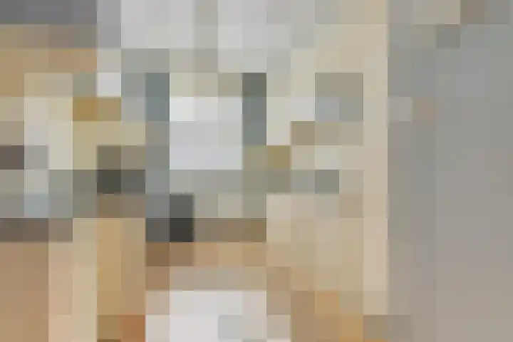 Schrijverskwartier 13 Heemskerk thumbnail 15