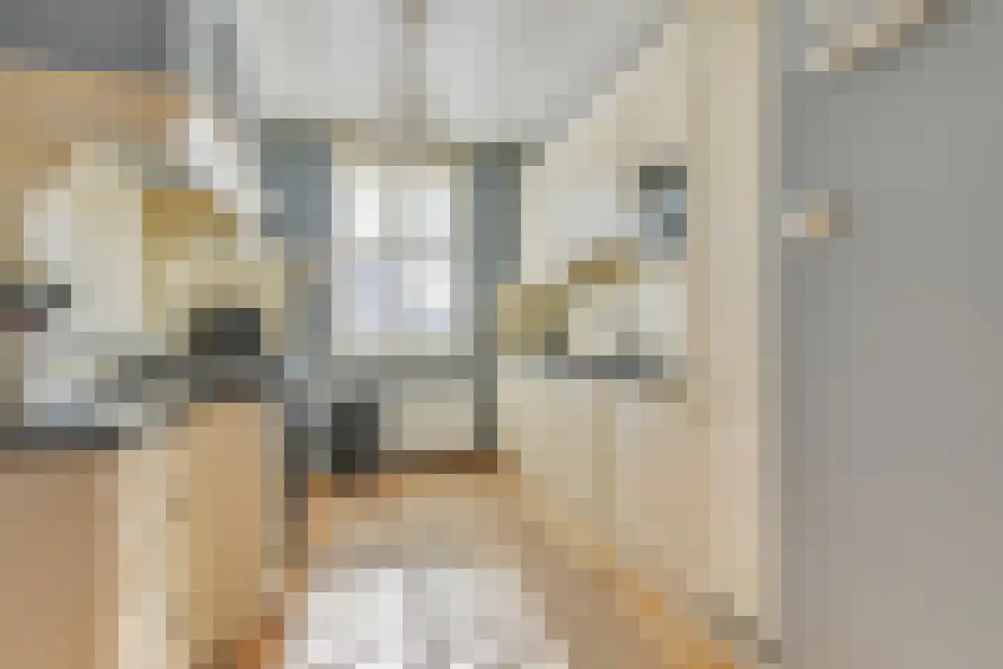 Schrijverskwartier 13 Heemskerk thumbnail 15