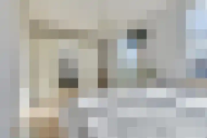 Schrijverskwartier 13 Heemskerk thumbnail 20