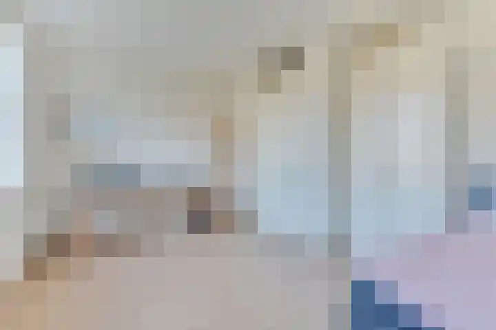Schrijverskwartier 13 Heemskerk thumbnail 26