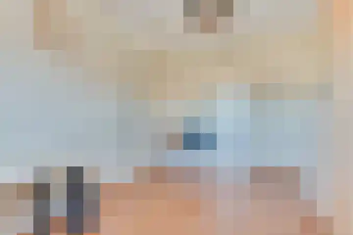 Schrijverskwartier 13 Heemskerk thumbnail 34