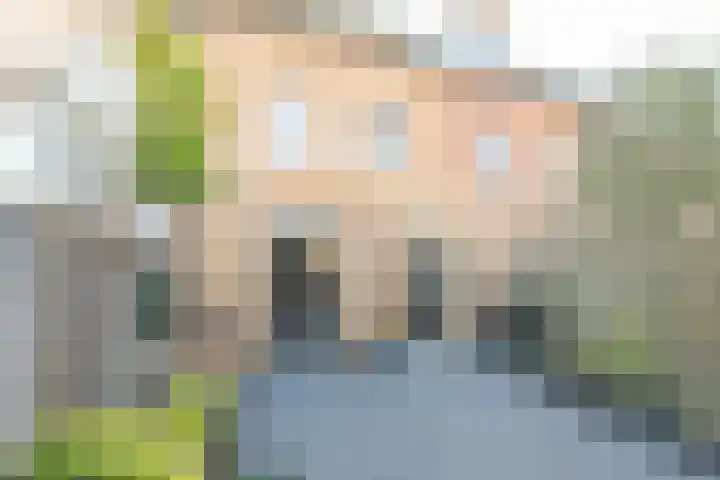 Schrijverskwartier 13 Heemskerk thumbnail 38