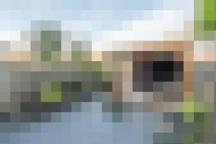 Schrijverskwartier 13 Heemskerk thumbnail 39