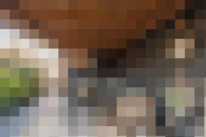 Schrijverskwartier 13 Heemskerk thumbnail 40