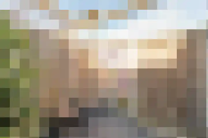 Schrijverskwartier 13 Heemskerk thumbnail 42