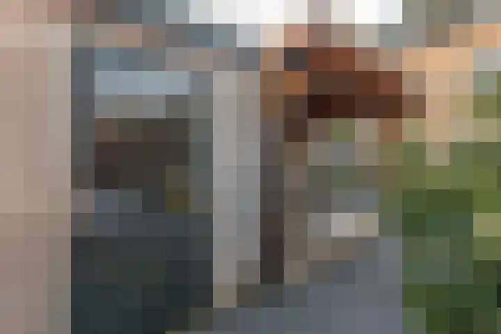 Schrijverskwartier 13 Heemskerk thumbnail 43