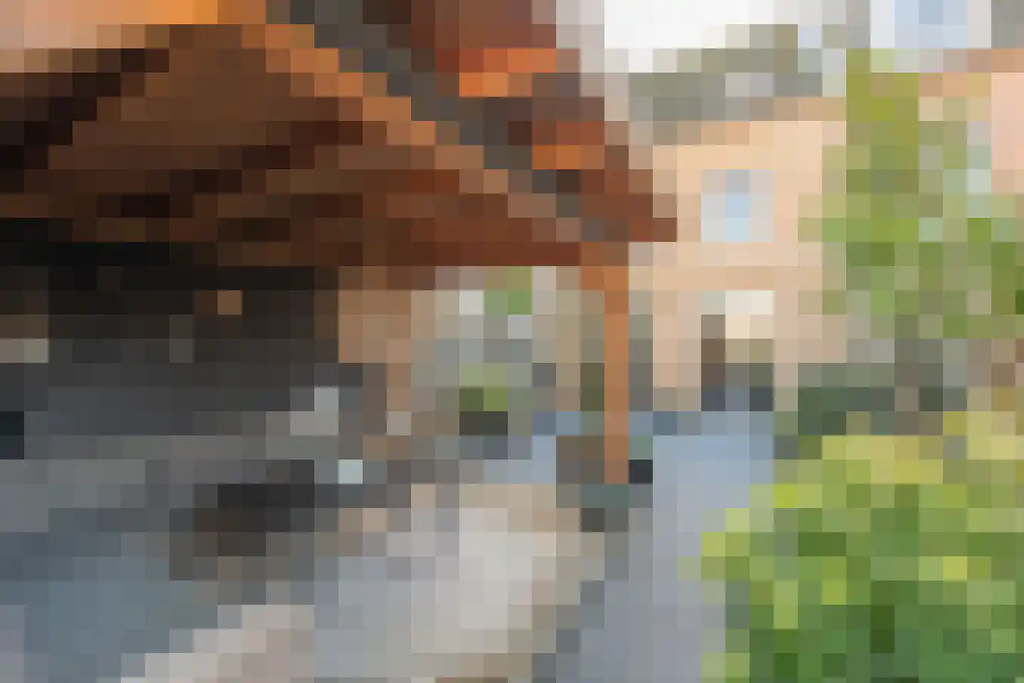 Schrijverskwartier 13 Heemskerk thumbnail 44