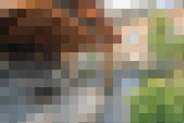 Schrijverskwartier 13 Heemskerk thumbnail 44