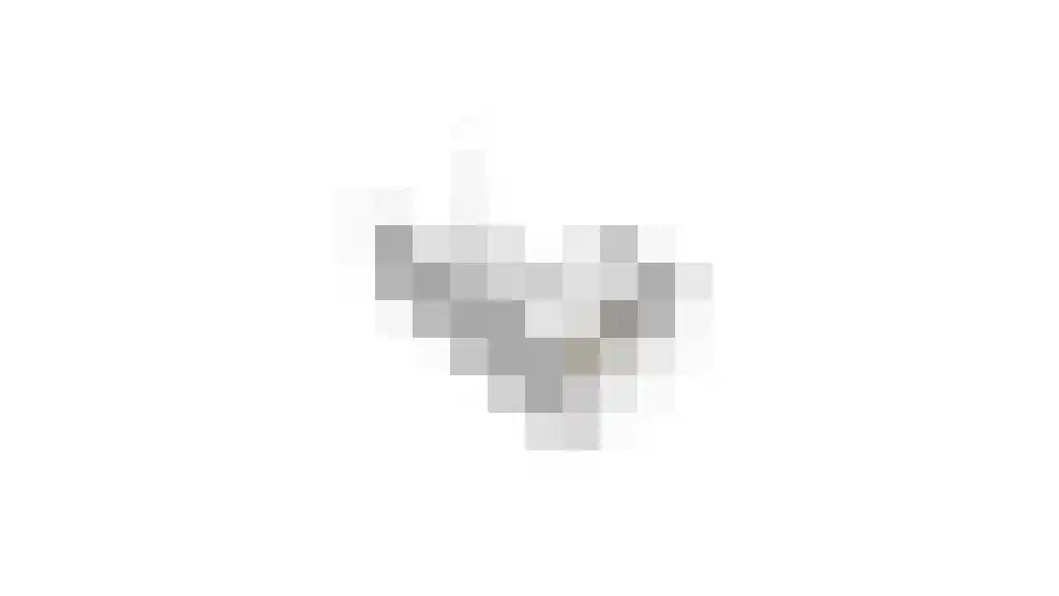 Schrijverskwartier 13 Heemskerk thumbnail 55