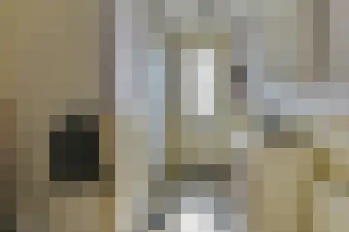 Schrijverskwartier 13 Heemskerk thumbnail 8