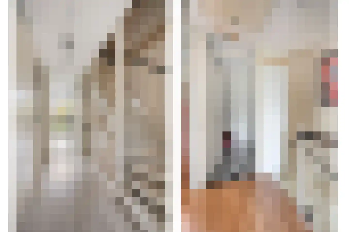 Schrijverskwartier 41 Heemskerk thumbnail 16