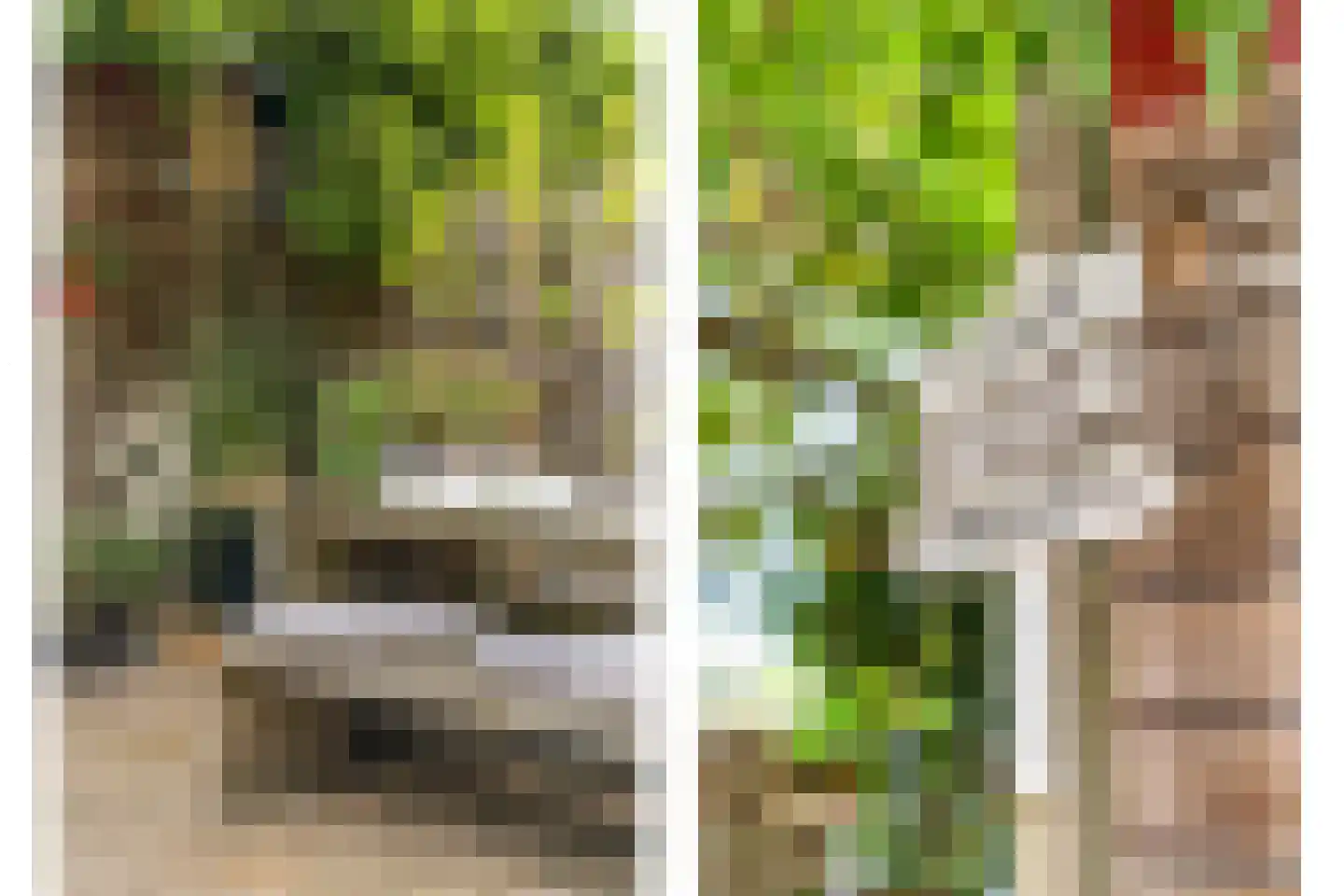 Schrijverskwartier 41 Heemskerk thumbnail 22